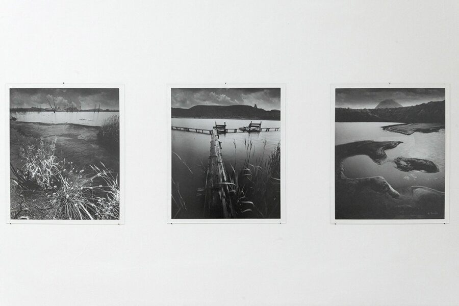 Foto: M. Dvořáková